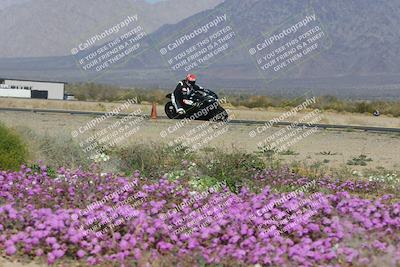 media/Feb-04-2023-SoCal Trackdays (Sat) [[8a776bf2c3]]/Turn 15 Inside Blooming (1050am)/